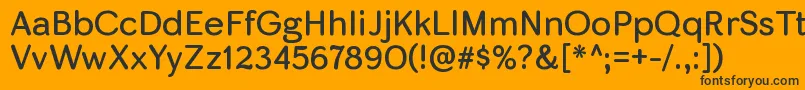 SkirtrgRegular Font – Black Fonts on Orange Background