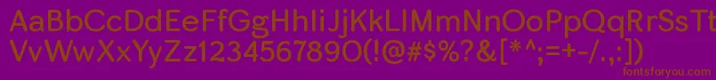 SkirtrgRegular Font – Brown Fonts on Purple Background