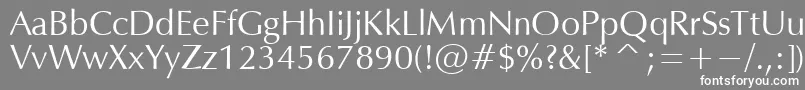 OPM-Schriftart – Weiße Schriften auf grauem Hintergrund