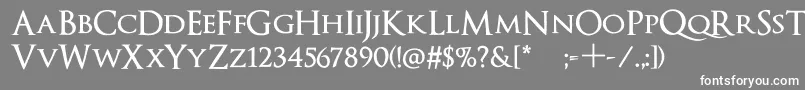OptimusPrincepsSemiBold Font – White Fonts on Gray Background