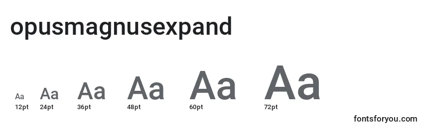 Размеры шрифта Opusmagnusexpand (136178)