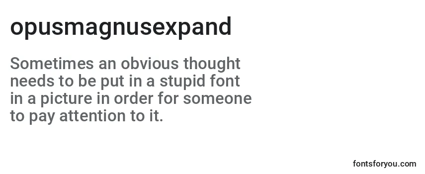 Review of the Opusmagnusexpand (136178) Font