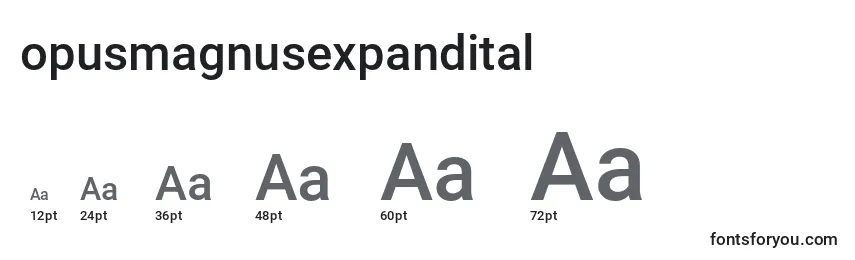 Размеры шрифта Opusmagnusexpandital (136179)