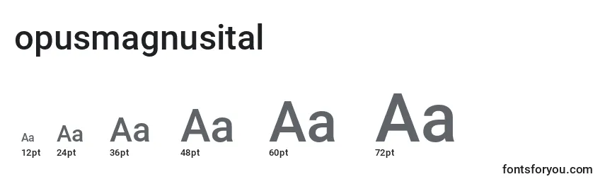 Размеры шрифта Opusmagnusital (136180)