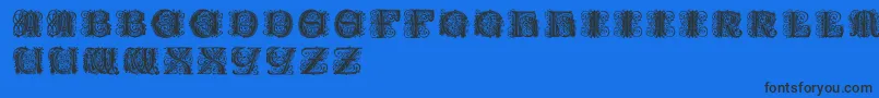 Paulusfranckinitialen Font – Black Fonts on Blue Background