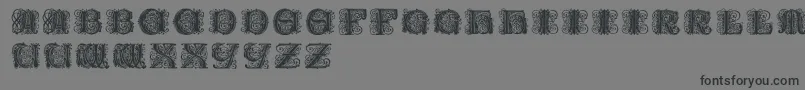 Paulusfranckinitialen Font – Black Fonts on Gray Background