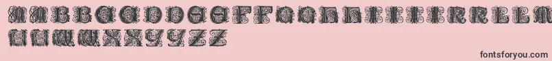 Paulusfranckinitialen Font – Black Fonts on Pink Background