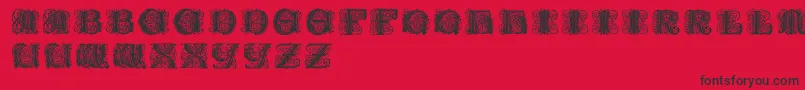 Paulusfranckinitialen Font – Black Fonts on Red Background