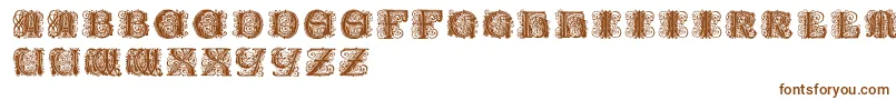 Paulusfranckinitialen Font – Brown Fonts