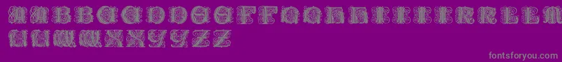 Paulusfranckinitialen Font – Gray Fonts on Purple Background