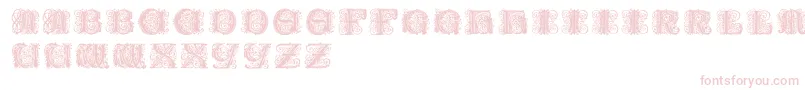 Paulusfranckinitialen Font – Pink Fonts on White Background