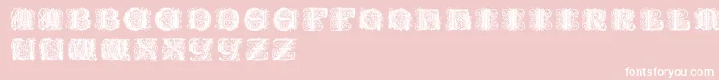 Paulusfranckinitialen Font – White Fonts on Pink Background