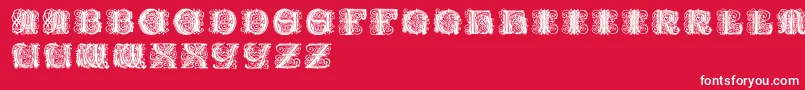 Paulusfranckinitialen Font – White Fonts on Red Background