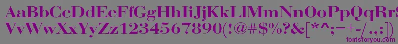 RothniextBold Font – Purple Fonts on Gray Background