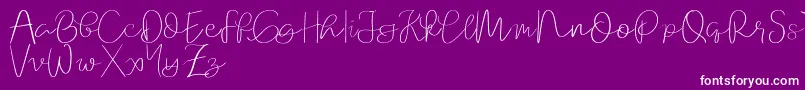 Orchard   demo Font – White Fonts on Purple Background