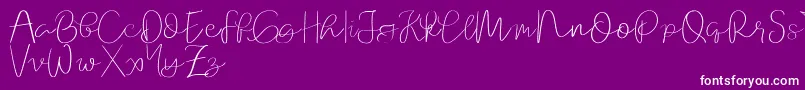 Orchard   demo Font – White Fonts on Purple Background