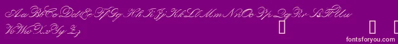 ORPHD    Font – Pink Fonts on Purple Background