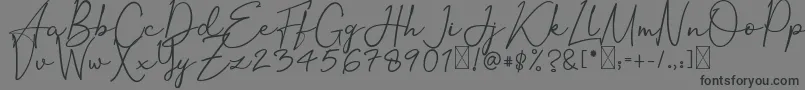 OrtisanSignature-Schriftart – Schwarze Schriften auf grauem Hintergrund