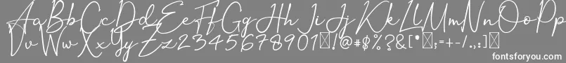 OrtisanSignature Font – White Fonts on Gray Background