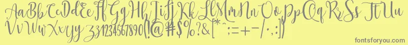 Police Ossellany Script – polices grises sur fond jaune