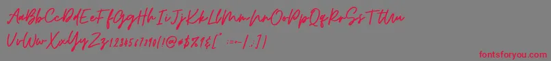 Osulent Signature Font – Red Fonts on Gray Background