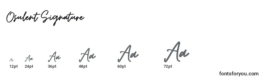 Osulent Signature Font Sizes