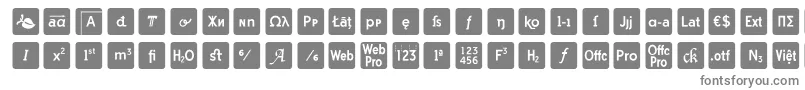 Czcionka otf icons symbol font – szare czcionki na białym tle