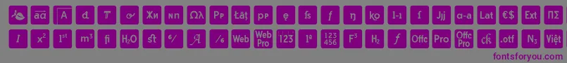 Czcionka otf icons symbol font – fioletowe czcionki na szarym tle