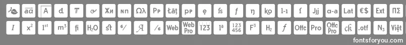 otf icons symbol font-fontti – valkoiset fontit harmaalla taustalla