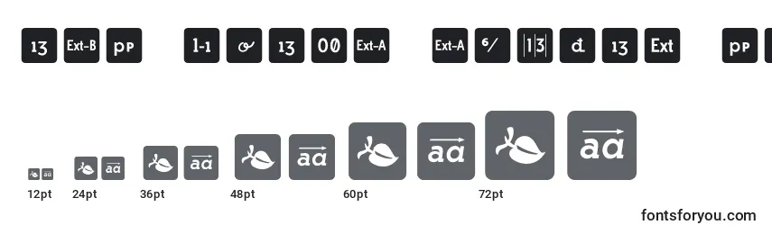 Größen der Schriftart Otf icons symbol font