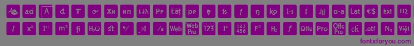 otf icons symbol font-fontti – violetit fontit harmaalla taustalla