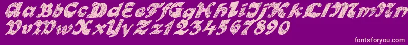 OttoLand Font – Pink Fonts on Purple Background