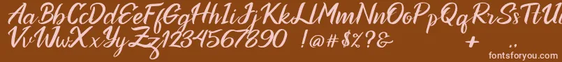 Ottoman Font – Pink Fonts on Brown Background