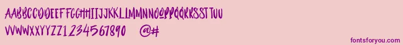 Outistyle Brush Font – Purple Fonts on Pink Background