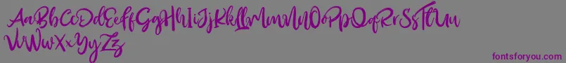 Outistyle Free Font – Purple Fonts on Gray Background