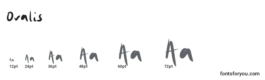 Größen der Schriftart Ovalis