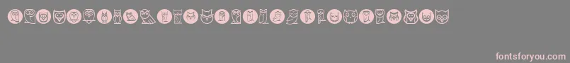 Owls Font – Pink Fonts on Gray Background