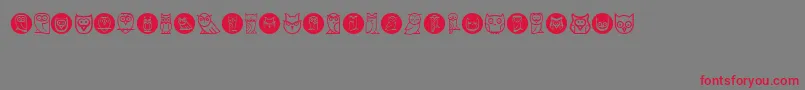 Owls Font – Red Fonts on Gray Background