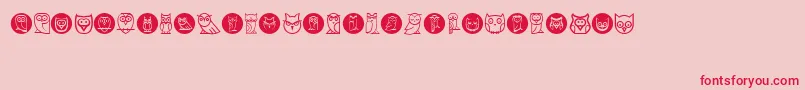 Owls Font – Red Fonts on Pink Background