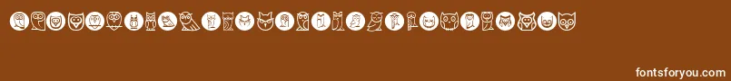 Owls Font – White Fonts on Brown Background