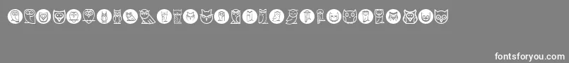 Owls Font – White Fonts on Gray Background