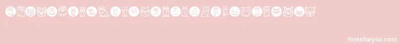 Owls Font – White Fonts on Pink Background