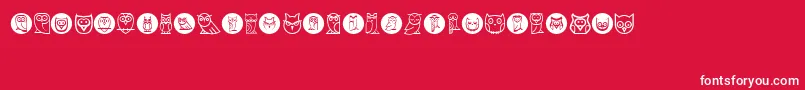 フォントOwls – 赤い背景に白い文字