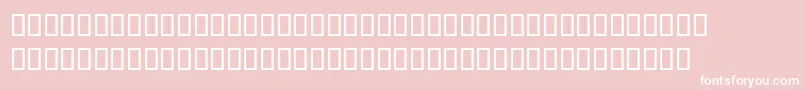 Pablo Font – White Fonts on Pink Background