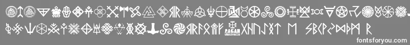 Saiba mais sobre a fonte Pagan Symbols Fonte Pagan Symbols – fontes brancas em um fundo cinza