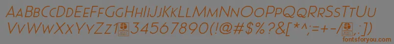 Czcionka Pages Grotesque Light Italic Demo – brązowe czcionki na szarym tle