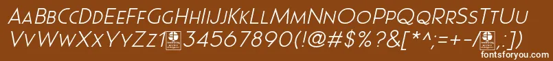 Pages Grotesque Light Italic Demo Font – White Fonts on Brown Background