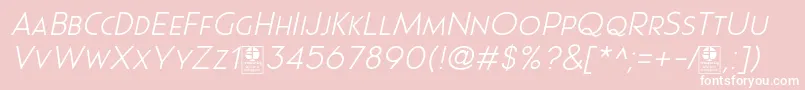 フォントPages Grotesque Light Italic Demo – ピンクの背景に白い文字