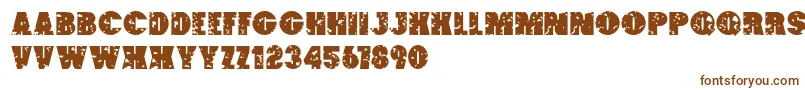 PaintBucket Font – Brown Fonts on White Background