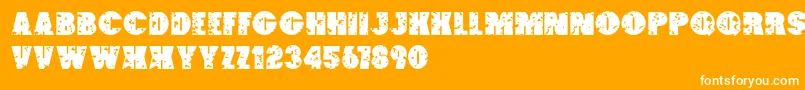 PaintBucket Font – White Fonts on Orange Background